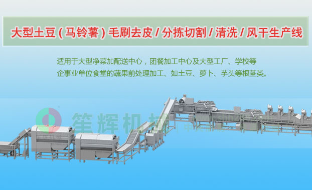 扬州连续式土豆去皮清洗切割风干生产线